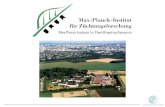 Max-Planck-Gesellschaft 80 Institute, 12.000 Angestellte Etat 2003: 1.25 Mrd. Finanzierung: 84% öffentlich 50% Bund, 50% Länder MPIZ: 23 Mio. + 10 Mio.