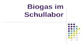 Biogas im Schullabor. Inhaltsverzeichnis Ist Biogas giftig? Herstellung von Biogas Vergleich: Versuch – Biogasanlage (Wie kann Biogas festgehalten werden?)