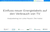 Einfluss neuer Energielabels auf den Verbrauch von TV Analysebeitrag von Lothar Rausch, Öko-Institut.