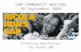 5. November 2013 cheim@infortis.com copyright by SAP (Schweiz) AG und infortis ag Seite 1 von 33 CRM COMMUNITY MEETING 28.September 2004 Effektive Oberflächen.