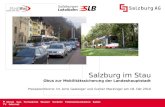 Strom Gas Fernwärme Wasser Verkehr Telekommunikation Kabel-TV Internet Salzburg im Stau Obus zur Mobilitätssicherung der Landeshauptstadt Pressekonferenz: