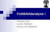 Politikfeldanalyse I Sandra Graf Lukas Radwan Anna-Lena Wagner.