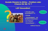 1 Wolfhard Hammer Soziale Dienste in Afrika – Problem oder Chance für die TZ ? Wolfhard Hammer Aktuelle Lage Gesundheit in TZ Gründe Nachhaltigkeit - ein.