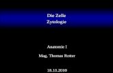 Die Zelle Zytologie Mag. Thomas Rotter Anatomie I 18.10.2010.