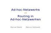 Manuel BeetzMarcus Gottwald Ad-hoc-Netzwerke und Routing in Ad-hoc-Netzwerken.