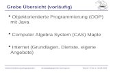 Grobe Übersicht (vorläufig) Objektorientierte Programmierung (OOP) mit Java Computer Algebra System (CAS) Maple Internet (Grundlagen, Dienste, eigene Angebote)