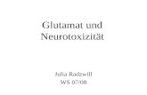 Glutamat und Neurotoxizität Julia Radzwill WS 07/08.