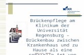 2008 A./M. Scheck Brückenpflege am Klinikum der Universität Regensburg – Brückenbau zwischen Krankenhaus und zu Hause als eine spezielle Art von Patientenbegleitung.