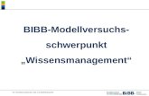 Dr. Dorothea Schemme, Abt. 3.3 Modellversuche BIBB-Modellversuchs- schwerpunkt Wissensmanagement.