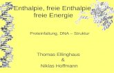 Enthalpie, freie Enthalpie, freie Energie Thomas Ellinghaus & Niklas Hoffmann Proteinfaltung, DNA – Struktur.
