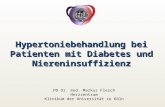 Hypertoniebehandlung bei Patienten mit Diabetes und Niereninsuffizienz PD Dr. med. Markus Flesch Herzzentrum Klinikum der Universität zu Köln.