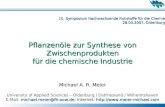 10. Symposium Nachwachsende Rohstoffe für die Chemie 28.03.2007, Oldenburg Pflanzenöle zur Synthese von Zwischenprodukten für die chemische Industrie Michael.