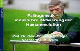 Paläogenetik – molekulare Aktivierung der Humanevolution Prof. Dr. Gerd-Christian Weniger Neanderthal Museum.