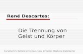 René Descartes: Die Trennung von Geist und Körper Ina Seiberlich, Barbara Schinkinger, Katja Schneider, Stephanie Stadelbacher.