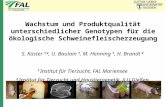 Wachstum und Produktqualität unterschiedlicher Genotypen für die ökologische Schweinefleischerzeugung S. Küster 1,2, U. Baulain 1, M. Henning 1, H. Brandt.