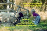 Neu: Arbeitnehmerkanibalismus, Rohstoffverknappung Vom Rhönschaf zur Dachmarke Rhön Otto Evers Leiter der Hess. Verwaltungsstelle des Biosphärenreservates.