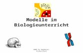 2006 by Wegmeyer-Productions Modelle im Biologieunterricht.