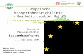 Europäische Wasserrahmenrichtlinie - Bearbeitungsgebiet Main- Der erste Planungsschritt: Bestandsaufnahme... bis Ende 2004 Werner Moser Regierungspräsidium.