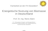A d a m Facharbeit an der FH Düsseldorf Energetische Nutzung von Biomasse in Deutschland Prof. Dr.-Ing. Mario Adam E² - Erneuerbare Energien und Energieeffizienz.