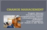 Projekt: Können transformationale Führungspersonen interne Innovationsbarrieren aufheben? Eine Perspektive auf Hotels in der Türkei.