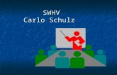 SWHV Carlo Schulz. S T R E S S oder auch: 1.Schlaglichter a) Ich bin beruflich Direktor in einem Schulamt mit ca. 170 Schulen, Hunderten von Lehrkräften.