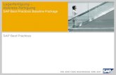 Lagerfertigung – diskrete Fertigung SAP Best Practices Baseline Package SAP Best Practices