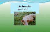 Schwein gehabt... Nils Pucholt & Alexander Keck, 6b, Erdkunde, DSB.