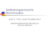 Selbstorganisierte Terminodes Juan C. Fries Lokationsbasiertes Routing in Ad-hoc-Netzen.