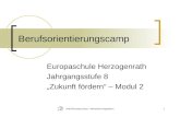 Nell-Breuning-Haus - Menschen begeistern1 Berufsorientierungscamp Europaschule Herzogenrath Jahrgangsstufe 8 Zukunft fördern – Modul 2.