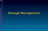 Storage Management. Inhalt Disksubsysteme I/O-Techniken Speichervirtualisierung Einsatz von Speichernetzen Filesysteme Backup, Recovery, Archivierung.