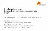 1 Evaluation von Gesundheitsförderungsprojekten Grundfragen, Instrumente und Beispiele Günter Ackermann Gesundheitsförderung Schweiz 7. Österreichische.