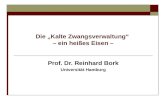 Die Kalte Zwangsverwaltung – ein heißes Eisen – Prof. Dr. Reinhard Bork Universität Hamburg.