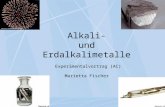 Alkali- und Erdalkalimetalle Experimentalvortrag (AC) Marietta Fischer