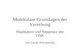 Molekulare Grundlagen der Vererbung Replikation und Reparatur der DNA Von Carola Wiersbowsky.