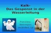 Kalk- Das Gespenst in der Wasserleitung Franziska Behrmann verändert; Lp.