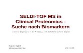 SELDI-TOF MS in Clinical Proteomics - Suche nach Biomarkern Katrin Splith Monique Richter 23.11.06 J.Y.M.N. Engwegen, M.-C. W. Gast, J.H.M. Schellens und.