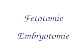 Fetotomie Embryotomie. Fetotomie / Embryotomie Definition: 1.Es ist eine Maßnahme zur Beendigung eines gestörten Geburtsablaufes durch Zerstückelung der.