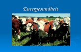 Eutergesundheit. AGTK-2005-Eutergesundheit2 Literatur K. Wendt, H. Bostedt, H. Mielke, H.-W. Fuchs: Euter- und Gesäugekrankheiten. K. Wendt, H. Bostedt,