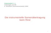 Untermodul 4 - 9 Andrologie und KB 6. Semester (Sommersemester) 2009 Die instrumentelle Samenübertragung beim Rind 1.