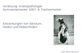 Vorlesung: Andropathologie Sommersemester 2007, 8. Fachsemester Erkrankungen von Skrotum, Hoden und Nebenhoden 2007 AGTK Wehrend.