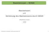 Basiswissen – WADI 1Kompetenzorientierter Mathematikunterricht Basiswissen und Sicherung des Basiswissens durch WADI Manfred Zinser 2009.