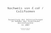 Nachweis von E. coli / Coliformen Auswertung der Untersuchungen im Rahmen des Praktikums Wasserhygiene SS 2007 Katharine Moritz Ulrike Frömmel.