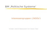 TU Dresden - Institut für Politikwissenschaft - Prof. Dr. Werner J. Patzelt BM Politische Systeme Interessengruppen (NGOs)