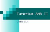 Tutorium AMB II Genetik. Herzlich Willkommen bei AMB II Einige Änderungen zum neuen Semester: Die Folien stehen demnächst im Netz unter .