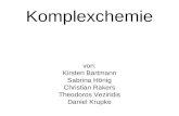 Komplexchemie von: Kirsten Bartmann Sabrina Hönig Christian Rakers Theodoros Veziridis Daniel Krupke.