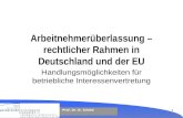 Prof. Dr. D. Schiek 1 Arbeitnehmerüberlassung – rechtlicher Rahmen in Deutschland und der EU Handlungsmöglichkeiten für betriebliche Interessenvertretung.