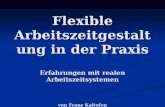 Flexible Arbeitszeitgestaltung in der Praxis Erfahrungen mit realen Arbeitszeitsystemen von Franz Kaltofen.