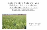 Alternative Nutzung von Mahdgut binsenreicher Hochmoorstandorte zur Biogas-Gewinnung Michael Röhrdanz Dipl.stud. LÖK.