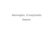 Meningitis, Enzephalitis Sepsis. CAMPUS Pädiatrie, Springer Verlag 2003.