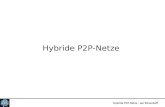 Hybride P2P-Netze - Jan Ritzenhoff Hybride P2P-Netze.